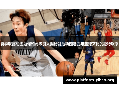 夏季联赛动图为何如此吸引人揭秘背后动图魅力与篮球文化的独特联系