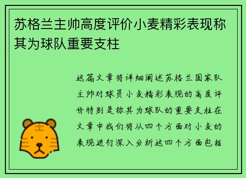 苏格兰主帅高度评价小麦精彩表现称其为球队重要支柱