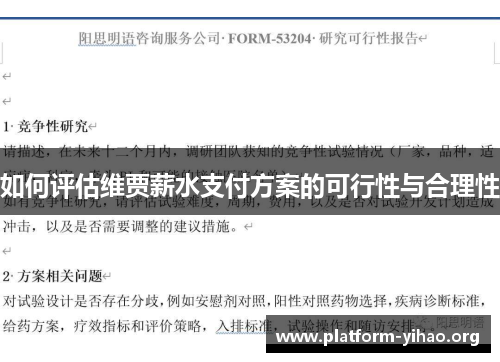 如何评估维贾薪水支付方案的可行性与合理性